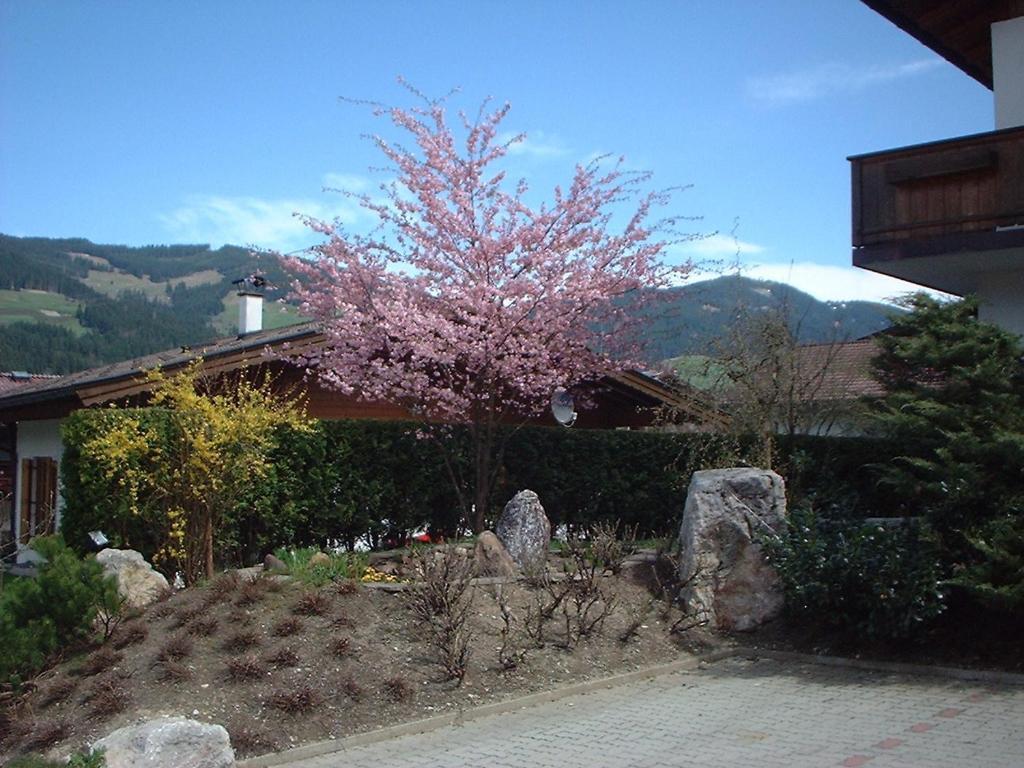 Pension Fuchs Brixen im Thale Zewnętrze zdjęcie